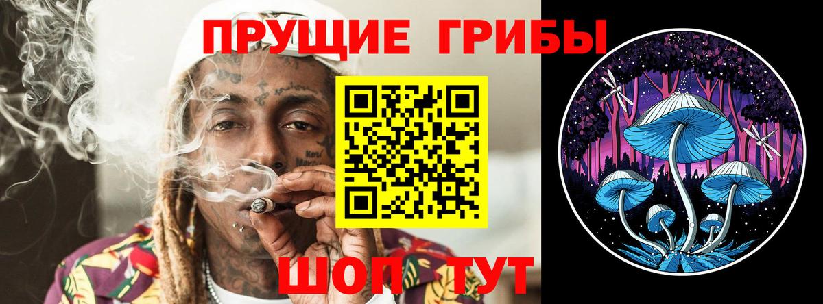 Сарапул  Псилоцибиновые грибы Psilocybe  Вход с VPN 